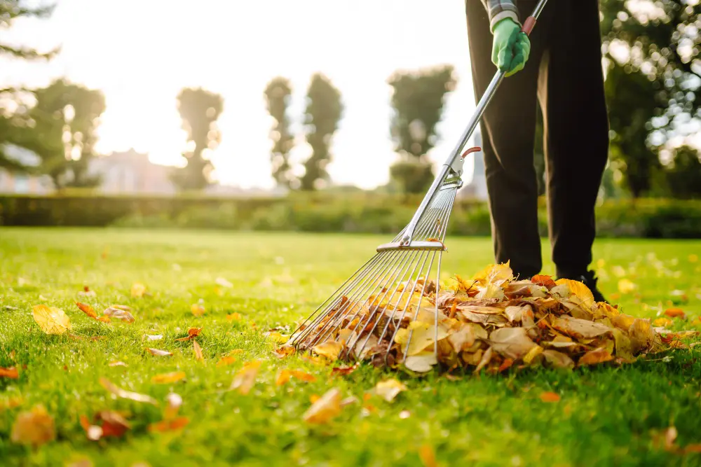 Lawn Care & Maintenance