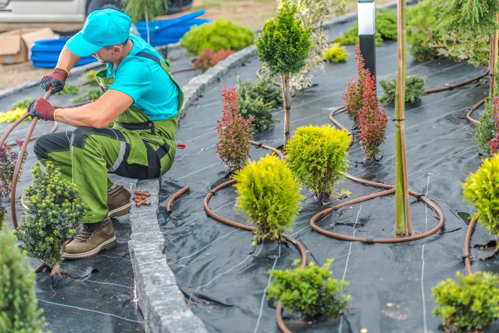 Garden Design, Development & Installation