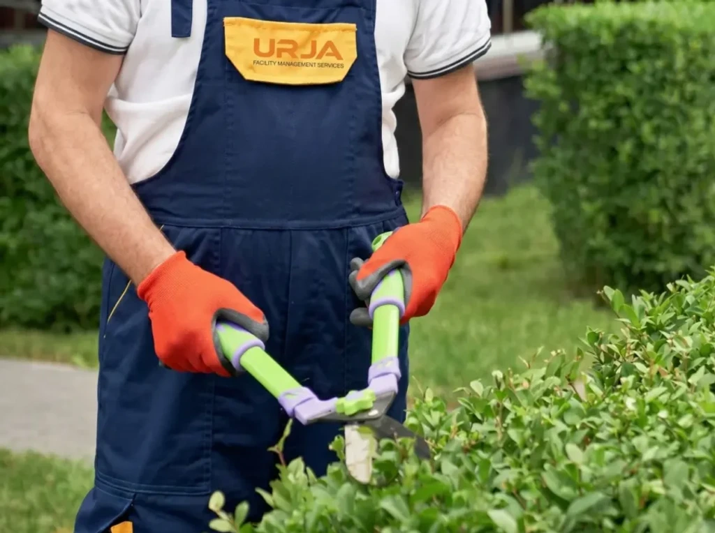 Landscaping