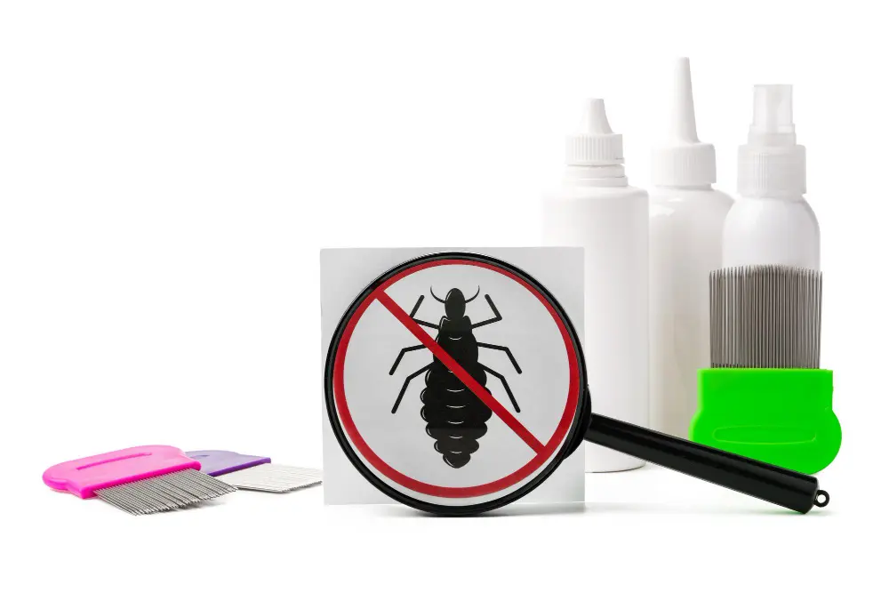 Common pest control issues including cockroaches and termites handled in Indore by Urja Facility